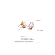 Cubic Zircon Water Drop Earrings